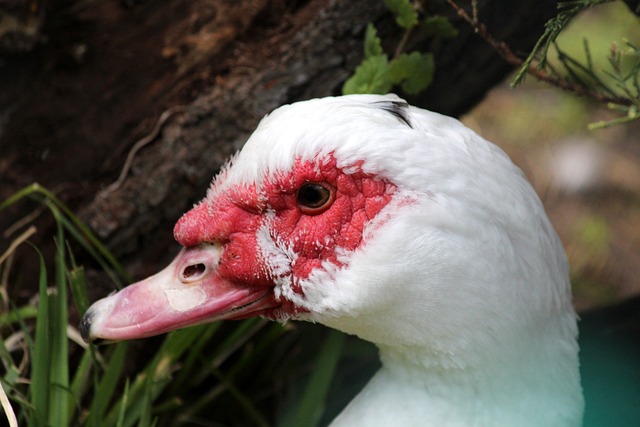 亚冠前瞻：海港PK首尔盼摆脱垫底 国安迎出线生死战